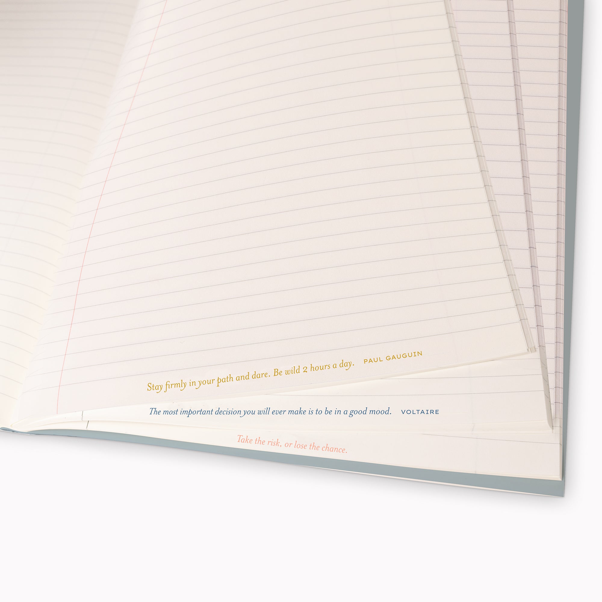 Composition Notebook Set - Chimie Des Fleurs / Arp