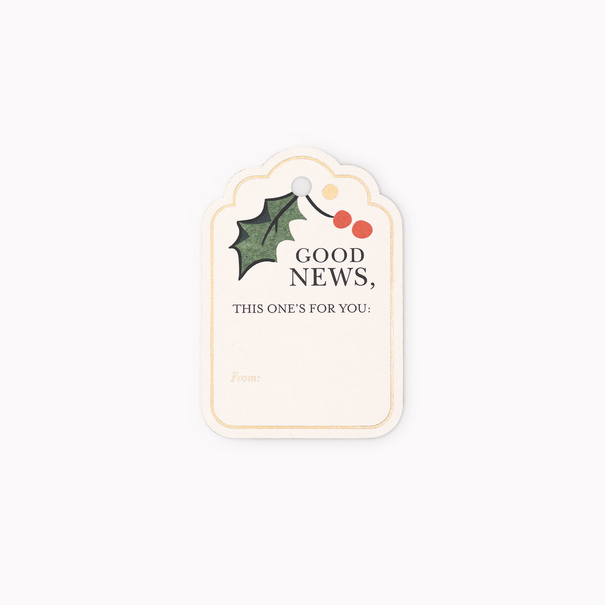 Large Christmas Chronicle Gift bag