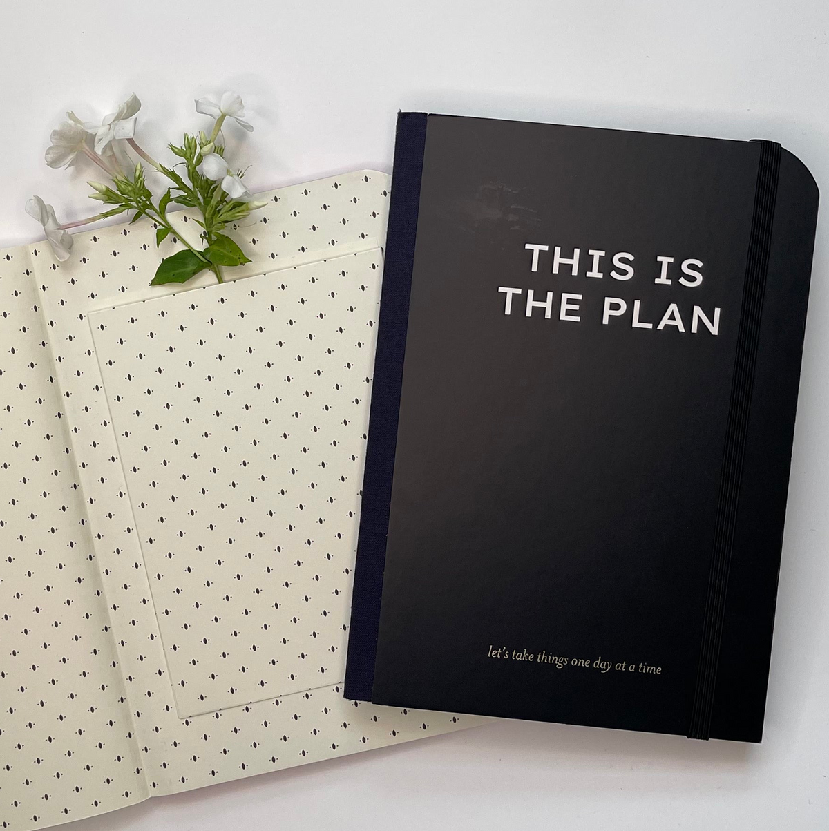 This is the plan - undated weekly planner.