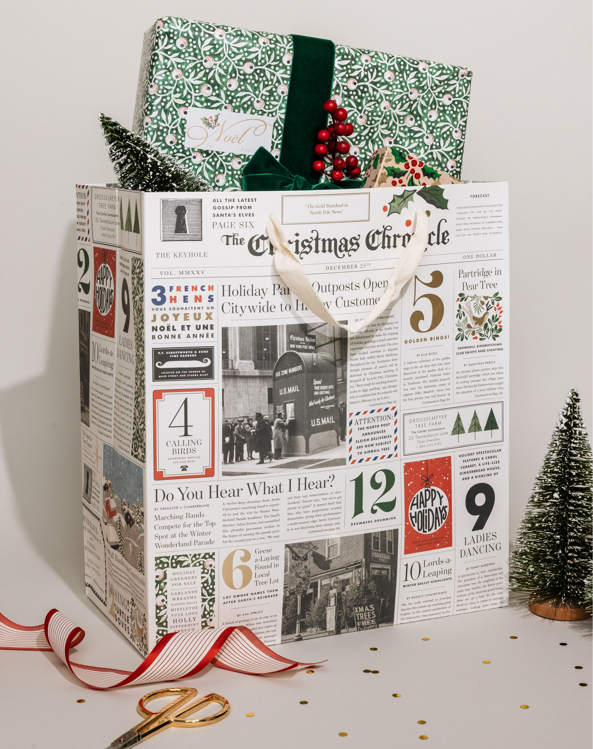 Large Christmas Chronicle Gift bag