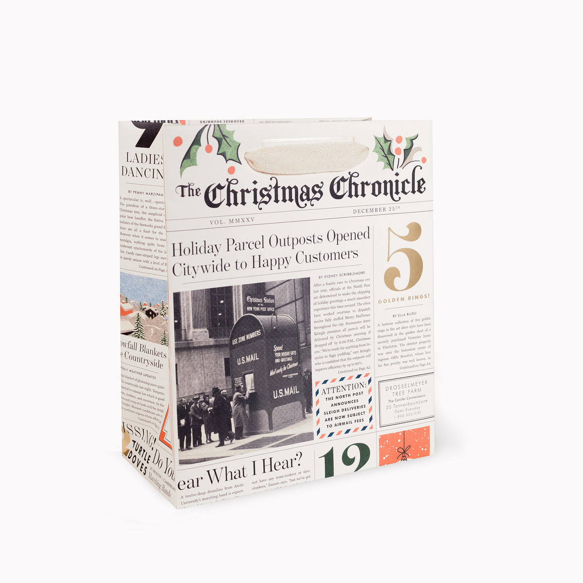 Medium Christmas Chronicle Gift bag