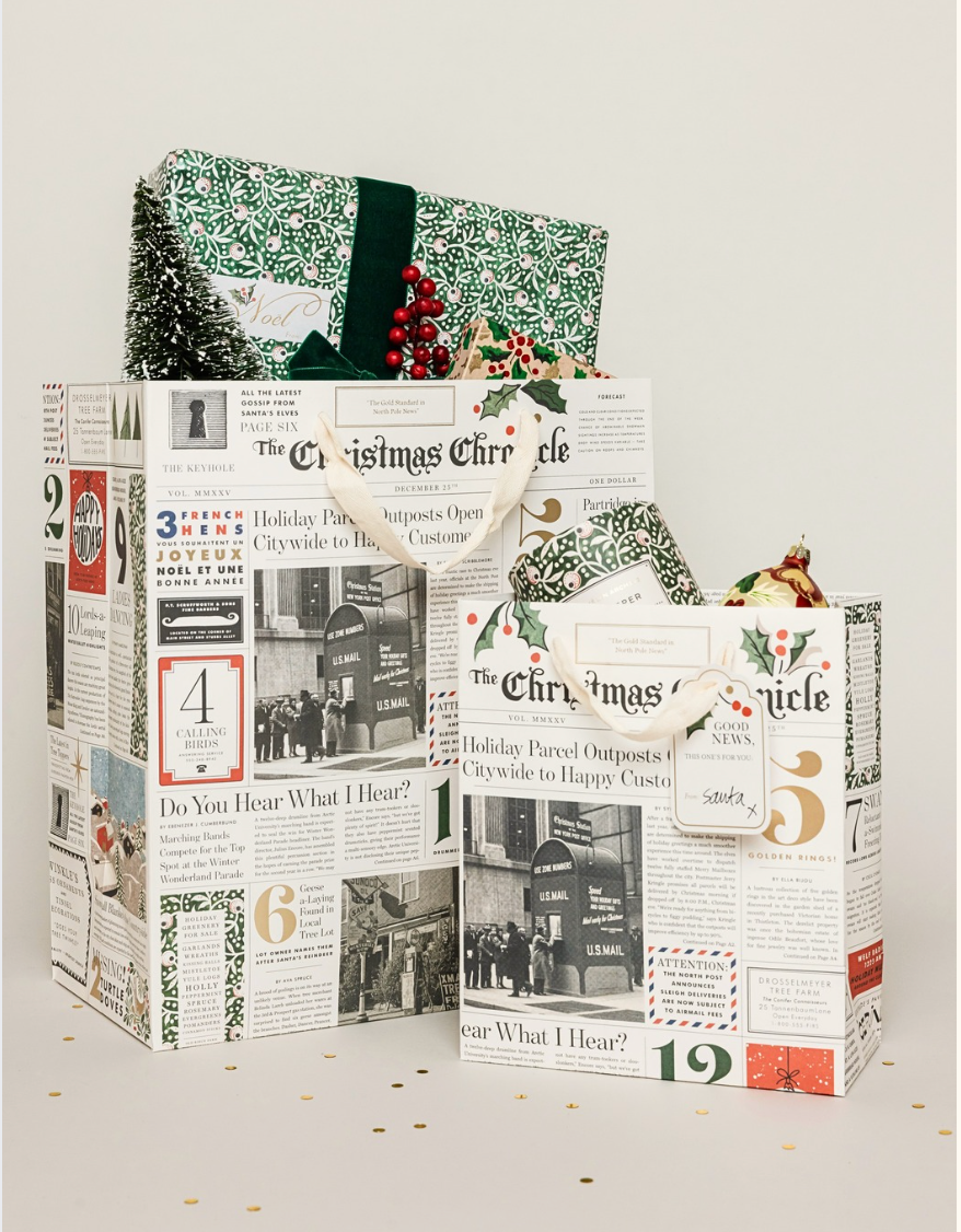 Medium Christmas Chronicle Gift bag